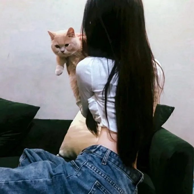 摩登女婿